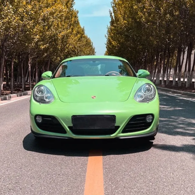 Gloss Metallic Light Green Vinyl Wrap